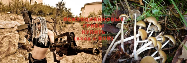 прущие крисы Белокуриха